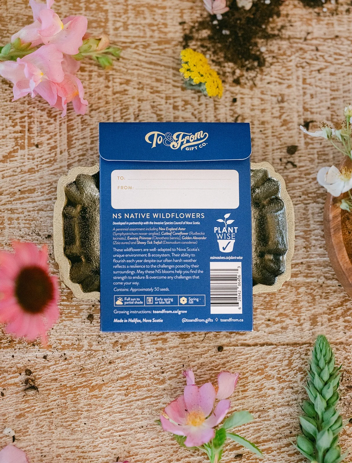 Nova Scotia Native Wildflowers - Floriography Seed Packet — To